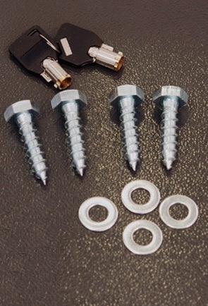 Image of Protex Wss-159 Through The Door Drop Box